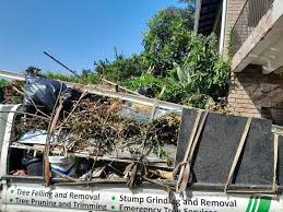 Professional Junk Removal in Scaggsville, MD